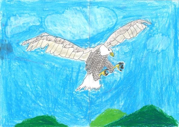 02空をとぶワシ.jpg